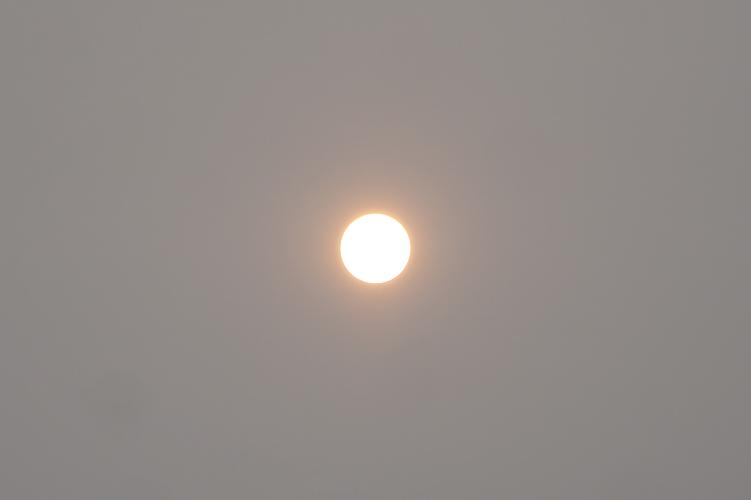 Matahari dengan filter kabut asap karhutla. (13/10/2026)